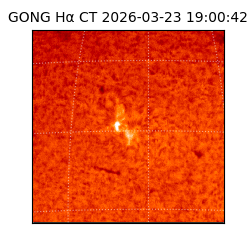 gong - 2026-03-23T19:00:42