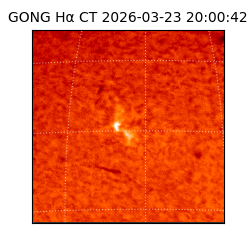 gong - 2026-03-23T20:00:42