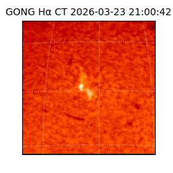 gong - 2026-03-23T21:00:42