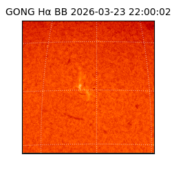 gong - 2026-03-23T22:00:02