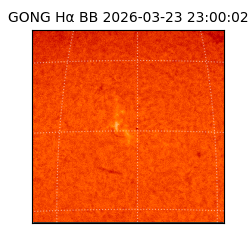 gong - 2026-03-23T23:00:02