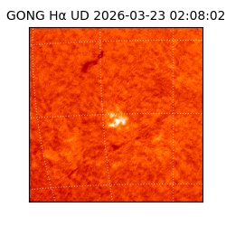 gong - 2026-03-23T02:08:02