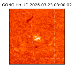 gong - 2026-03-23T03:00:02