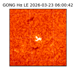 gong - 2026-03-23T06:00:42