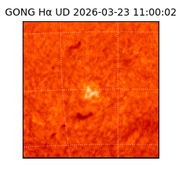 gong - 2026-03-23T11:00:02