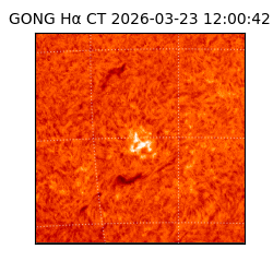 gong - 2026-03-23T12:00:42