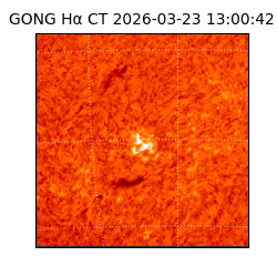 gong - 2026-03-23T13:00:42