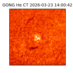 gong - 2026-03-23T14:00:42