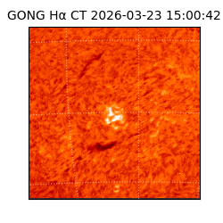 gong - 2026-03-23T15:00:42