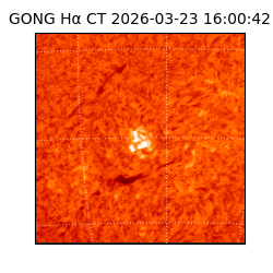 gong - 2026-03-23T16:00:42