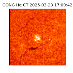 gong - 2026-03-23T17:00:42