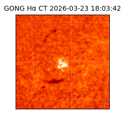 gong - 2026-03-23T18:03:42