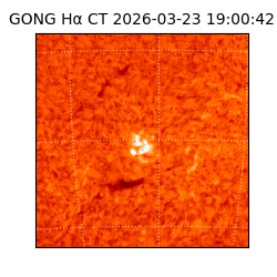 gong - 2026-03-23T19:00:42