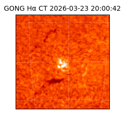 gong - 2026-03-23T20:00:42