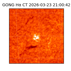 gong - 2026-03-23T21:00:42