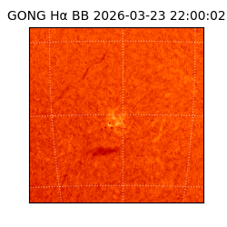 gong - 2026-03-23T22:00:02