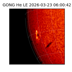 gong - 2026-03-23T06:00:42