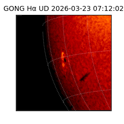 gong - 2026-03-23T07:12:02