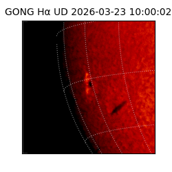 gong - 2026-03-23T10:00:02