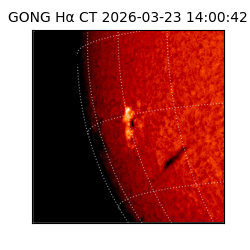 gong - 2026-03-23T14:00:42