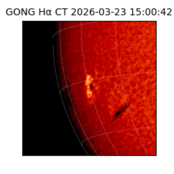 gong - 2026-03-23T15:00:42