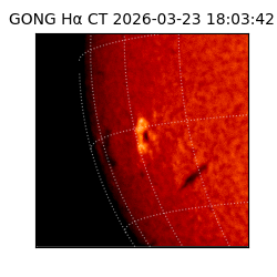 gong - 2026-03-23T18:03:42