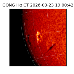 gong - 2026-03-23T19:00:42