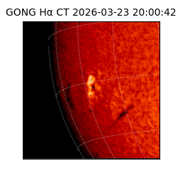 gong - 2026-03-23T20:00:42