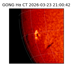 gong - 2026-03-23T21:00:42
