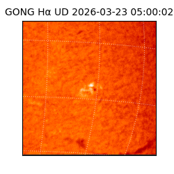 gong - 2026-03-23T05:00:02