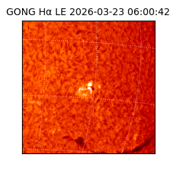 gong - 2026-03-23T06:00:42