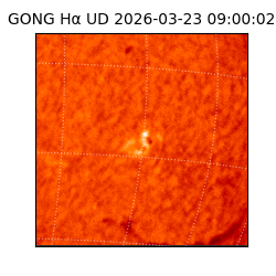 gong - 2026-03-23T09:00:02