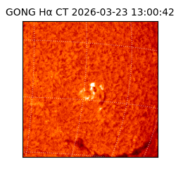 gong - 2026-03-23T13:00:42