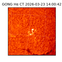 gong - 2026-03-23T14:00:42