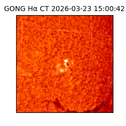 gong - 2026-03-23T15:00:42