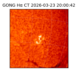 gong - 2026-03-23T20:00:42