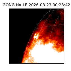 gong - 2026-03-23T00:28:42