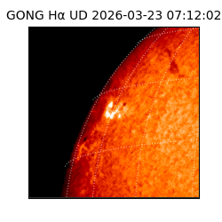 gong - 2026-03-23T07:12:02