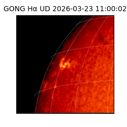 gong - 2026-03-23T11:00:02