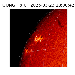 gong - 2026-03-23T13:00:42
