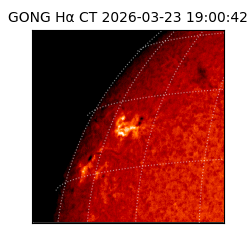 gong - 2026-03-23T19:00:42