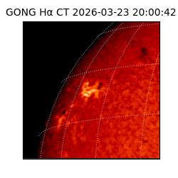 gong - 2026-03-23T20:00:42