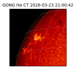 gong - 2026-03-23T21:00:42