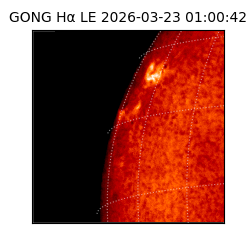 gong - 2026-03-23T01:00:42