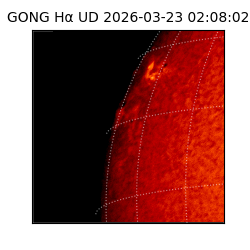 gong - 2026-03-23T02:08:02