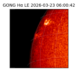 gong - 2026-03-23T06:00:42