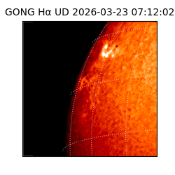 gong - 2026-03-23T07:12:02