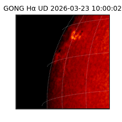gong - 2026-03-23T10:00:02