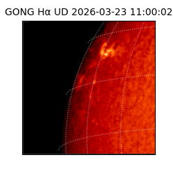 gong - 2026-03-23T11:00:02