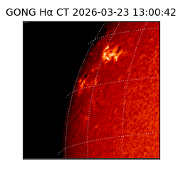 gong - 2026-03-23T13:00:42